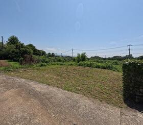 山梨県韮崎市中田町中條