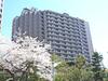 六本木ビュータワー 11階 築33年の賃貸物件