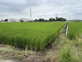 群馬県伊勢崎市境木島