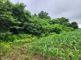 栃木県那須塩原市埼玉