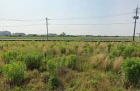 佐賀県神埼郡吉野ヶ里町立野