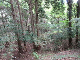静岡県賀茂郡南伊豆町上小野