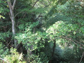 静岡県賀茂郡西伊豆町大沢里
