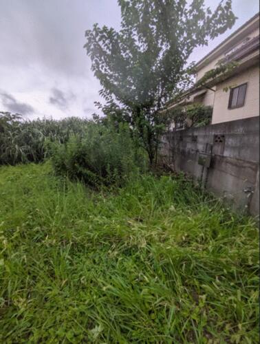土地, 埼玉県 所沢市