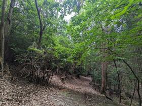 京都府亀岡市曽我部町中岩山
