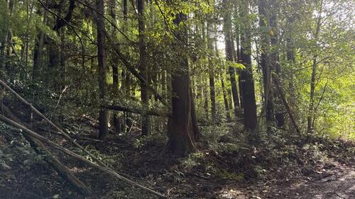 Land, Isumi, Chiba
