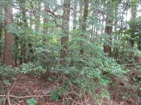 和歌山県紀の川市上鞆渕