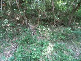 兵庫県佐用郡佐用町東徳久