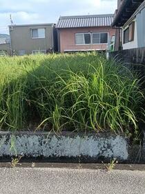高知県高知市朝倉横町