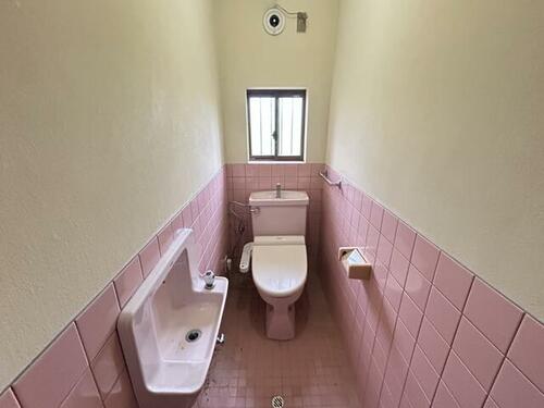 Image 15