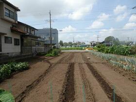 栃木県河内郡上三川町大字上三川