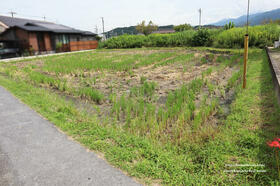 岐阜県恵那市長島町正家