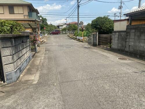 Image 15