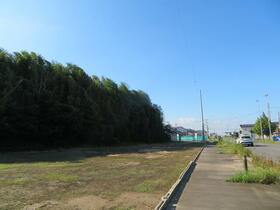 茨城県取手市井野