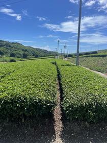 静岡県掛川市高瀬