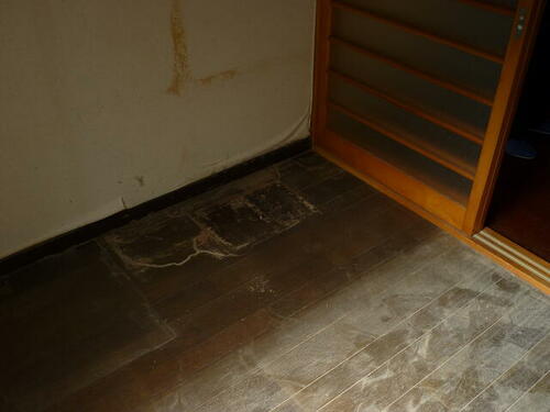 Image 14