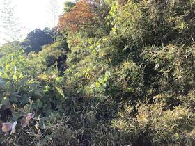 茨城県稲敷郡美浦村大字大谷