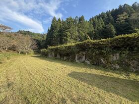 愛知県豊田市榊野町桜県