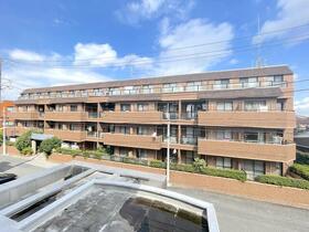 東京都葛飾区柴又６丁目