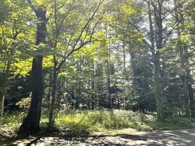 山梨県北杜市大泉町谷戸