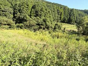 佐賀県鳥栖市河内町転石