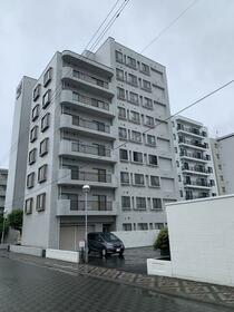 ライオンズマンション中の島通り