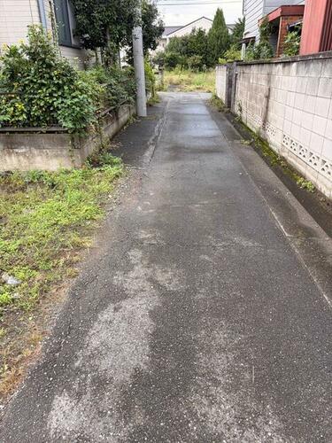 Image 14