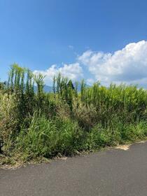 鹿児島県鹿屋市東原町