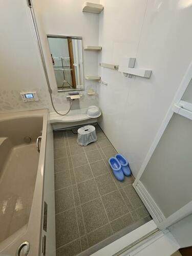 Image 12