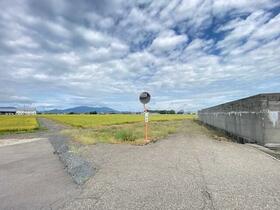 新潟県燕市杉柳
