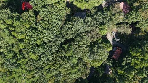 Land, Hokuto, Yamanashi