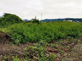 栃木県佐野市栃本町
