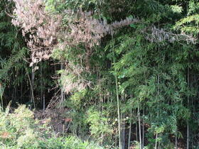 岡山県津山市上田邑