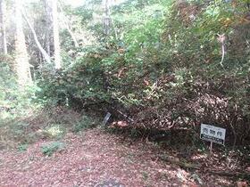 長野県諏訪郡富士見町立沢