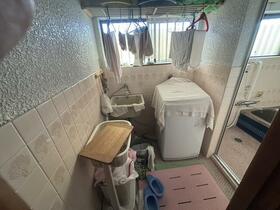 Image 12