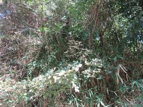 三重県伊賀市青山羽根