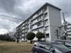 浅香山住宅１号棟 5階 築57年11ヶ月の賃貸物件