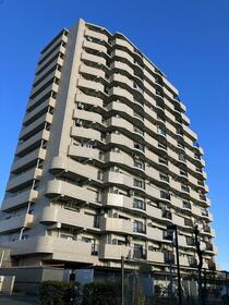 サエラ１４ｔｈ
