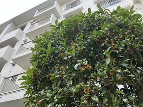 夏見台住宅第15号棟