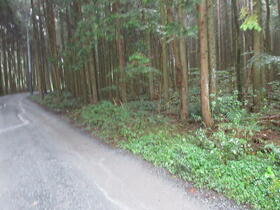 静岡県富士宮市上井出