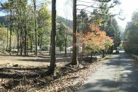 兵庫県丹波篠山市上筱見