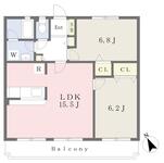 ヴューテラス松の木のイメージ