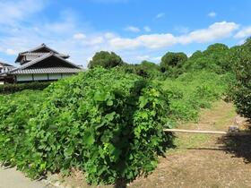 福岡県糟屋郡須惠町大字佐谷