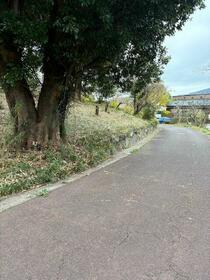 大分県別府市大字鶴見