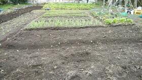 福岡県朝倉郡筑前町長者町