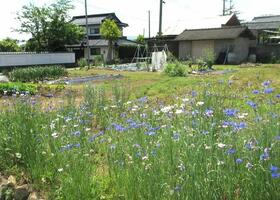福岡県豊前市大字四郎丸