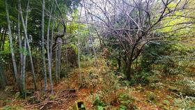福岡県糟屋郡久山町大字猪野