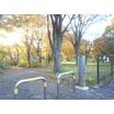 公園