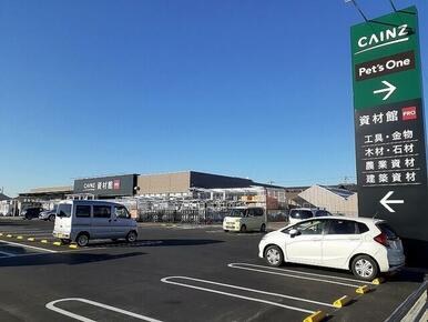 カインズ 佐野店
