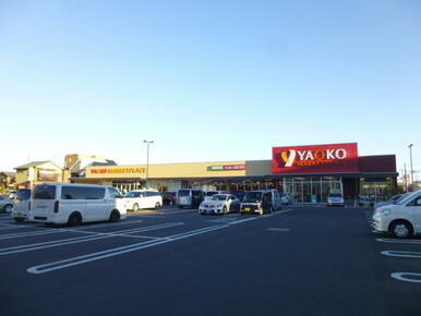ヤオコー柏若葉町店
